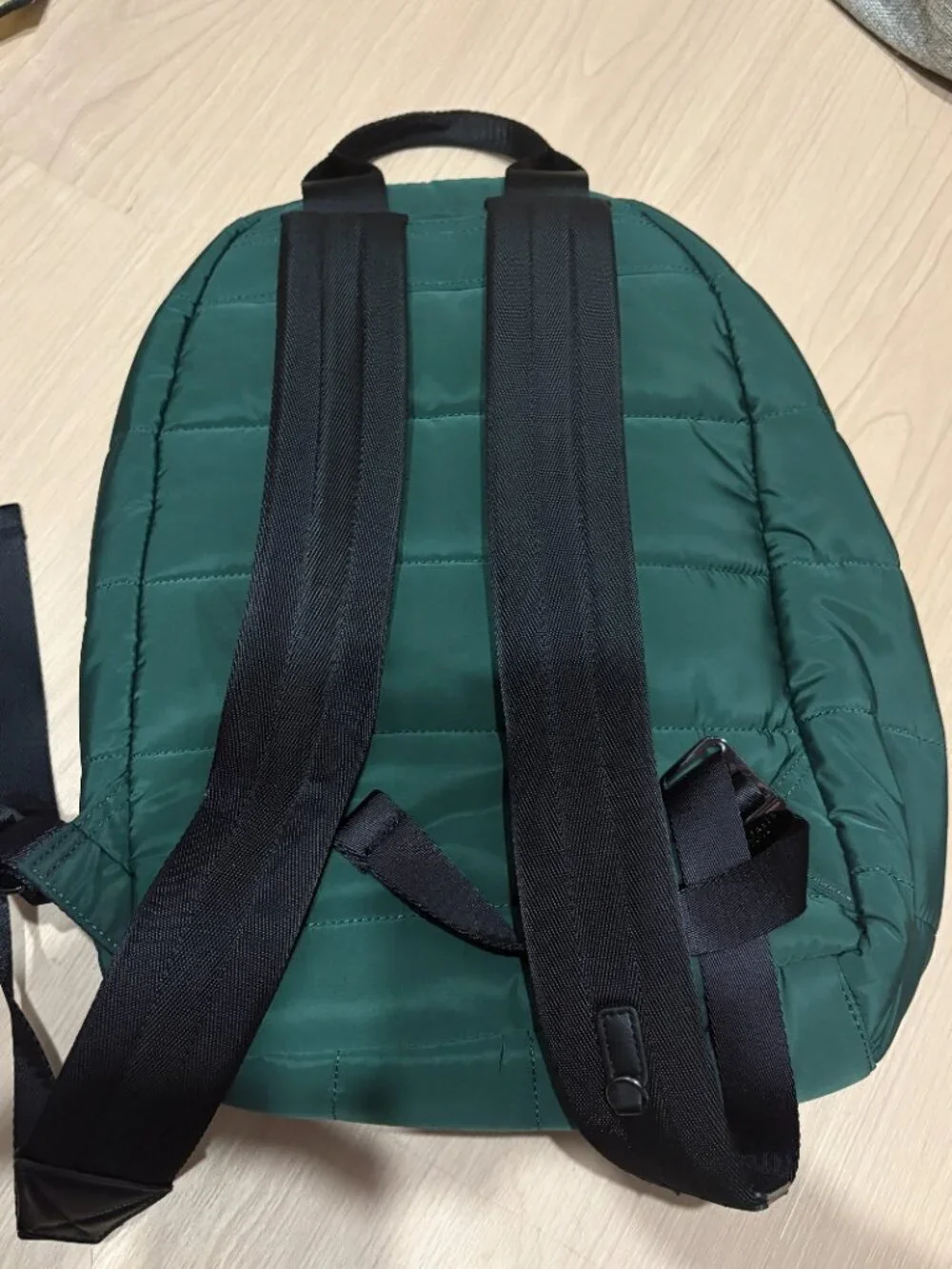 Green Ted Baker backpack